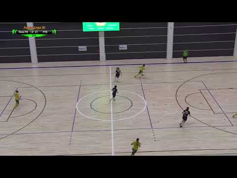 20.1.2018 Ilves FS - FTK maalikooste