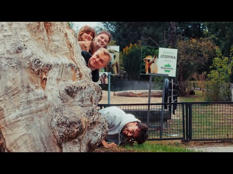 Mus Arietes - Myszojeleń (cover)