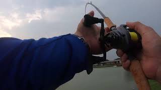 2019 new abu garcia revo beast 40
