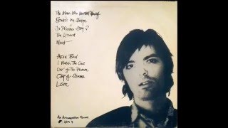 Robyn Hitchcock.  The man who invented himself - Original version