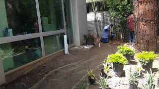 Garden Construction: The Best Order to Follow