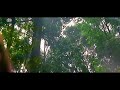 Janam Janam Ki Piyasi Aankhiyan Janam Janam 1988 Anuradha Paudawal Rishi Kapoor Binita Goyel