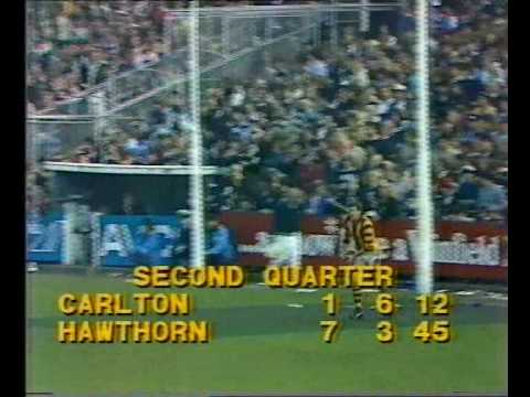 VFL R9 1983 - Carlton v Hawthorn