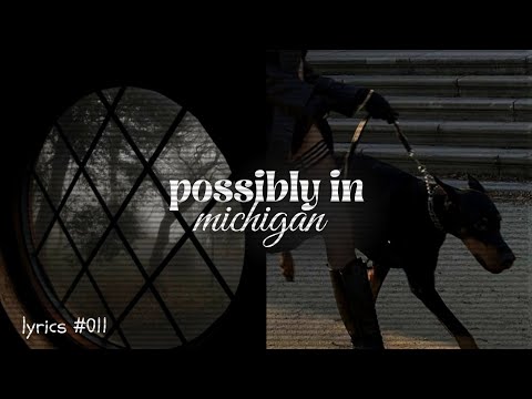 Cecelia Condit - Possibly in Michigan | Animal cannibal (lyrics)