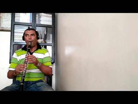 Titanic thème_my heart will go on.clarinette cover.