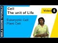 Cell The Unit Of Life NEET Eukaryotic Cell Plant Cell Neela Bakore Tutorials