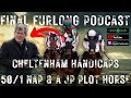 Cheltenham Handicap Chases Preview with a 50/1 NAP and a potential JP Plot Horse!