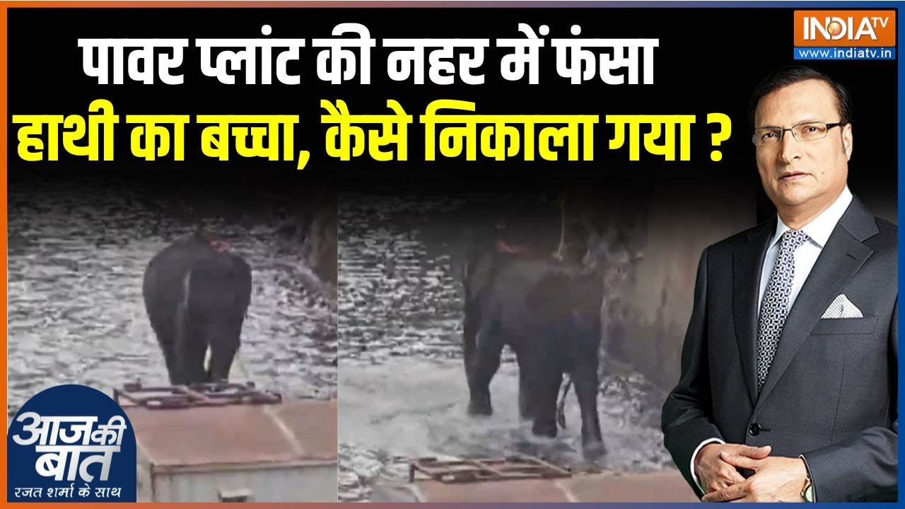 Karnataka Elephant Rescue Operation: मंड्या के पावर प्लांट की नहर में कैसे फ?