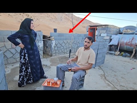 🧱Walling for security or fear of a hidden secret?! What happened to Jilly? 🐾