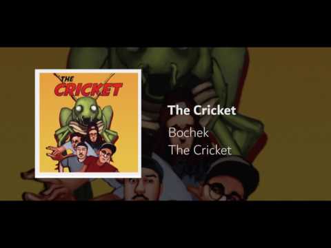 Bochek-The Cricket