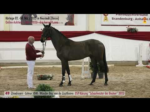 49 Zinedream - Latour