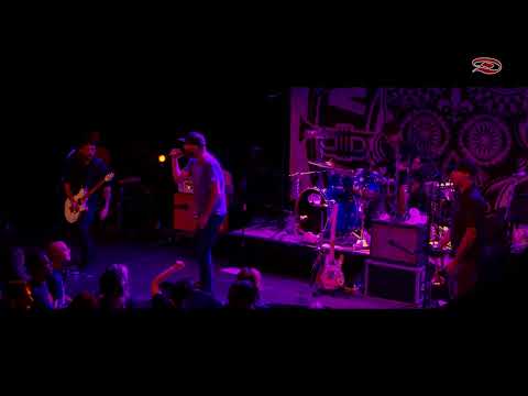 Mad Caddies - Leavin - Live in Eindhoven - 13 Nov 2023 - 2CAM - 4K