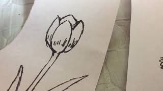 お花コレクション 新企画！ラッキートーク！