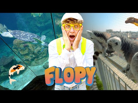 Farebné rybky, kamarátky lemur a korytnačka Puppi | Flopy