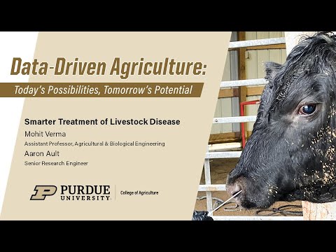 Smarter Treatment of Livestock Disease