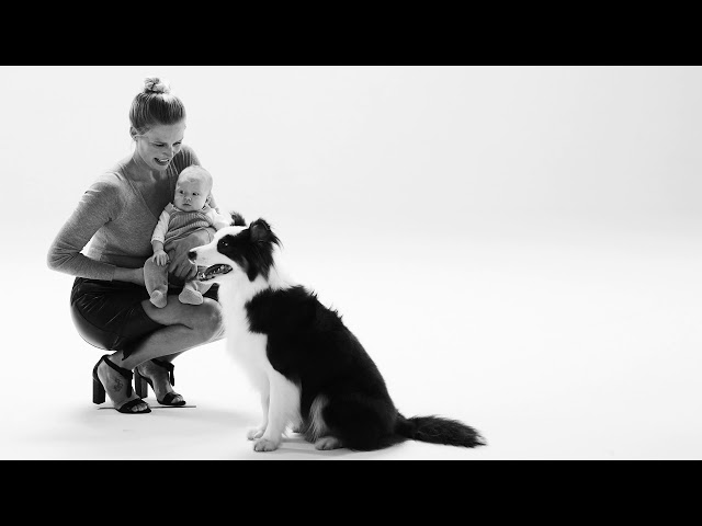 imagen-video-thefoodtech