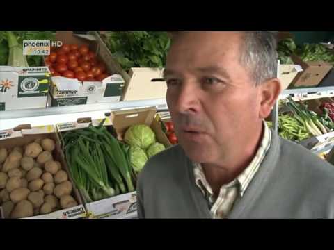 [HD-Doku] Sonne, Siesta und Saudade (8/10) Costa Blanca - Von Almeria bis Valencia