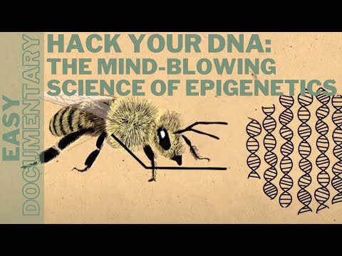 Hack Your DNA: The Mind-Blowing Science of Epigenetics - Full Knowledge Documentary
