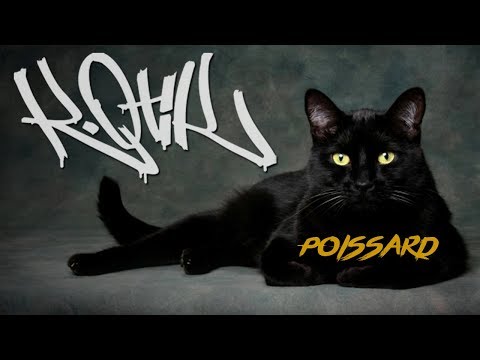 K-OTIK (R2F) - Poissard [Prod. Ben Maker]