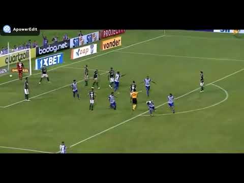 csa 1 x 1 palmeiras melhores momentos
