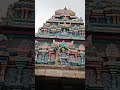 Maha Sani Pradosham Annamalaiyartemple Tiruvannamalai Shorts