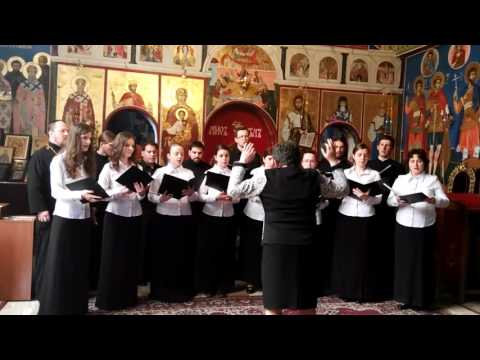 K Bohorodici priľižno - Zbor Pravoslávnej bohosloveckej fakulty