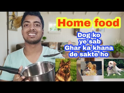 download lagu mp3 mp4 Indian Food For Dogs, download lagu Indian Food For Dogs gratis, unduh video klip Indian Food For Dogs