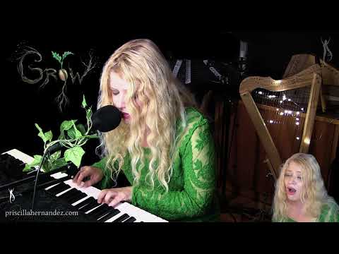Priscilla Hernandez - Grow (Live Acoustic version)