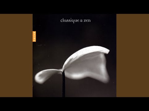 Sonate No 1 BWV 1001: Adagio