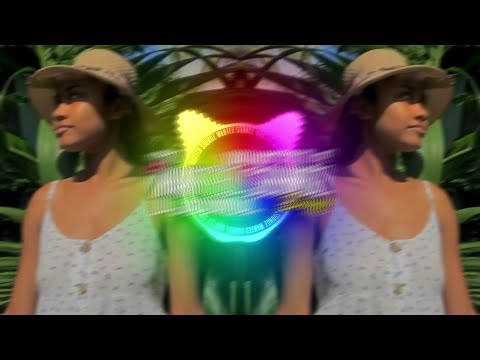 Dandelions _ Souljah Boy Dj [ AfroZouk Remix ] 2023