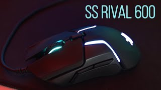 Steelseries Rival 600 Review | My New #1