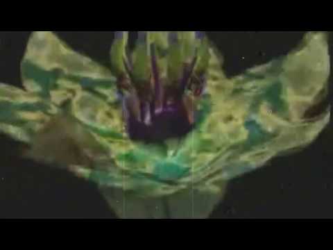 Aum Sector & Necroillusion - Ritual of Eternity (VIDEO HD)