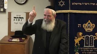 מצווה לבזוז מגוי? | ביזת מצרים | הרב יגאל לרר | פרשת בא | ד' שבט תשפ"ו | ישיבת מרכז הרב (ישיבת מרכז הרב) - התמונה מוצגת ישירות מתוך אתר האינטרנט יוטיוב. זכויות היוצרים בתמונה שייכות ליוצרה. קישור קרדיט למקור התוכן נמצא בתוך דף הסרטון