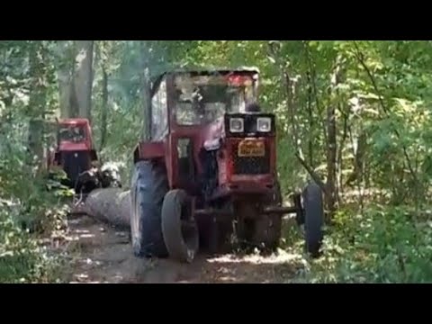 STARI TRAKTOR JEDVA VUČE VELIKI TRUPAC