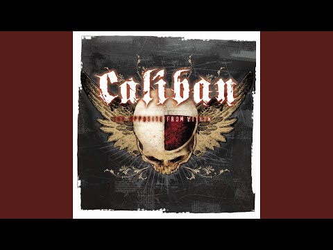 The Beloved and the Hatred