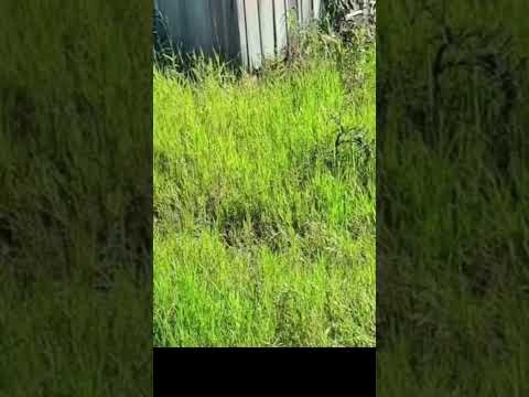 sítio em  em Barão de antonina divisa Paraná/sp