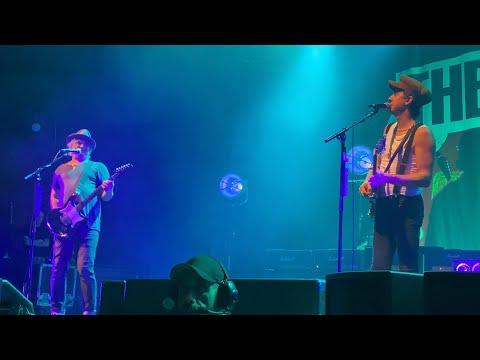 The Libertines - Can‘t Stand Me Now @ Gasometer, Vienna 07/11/22