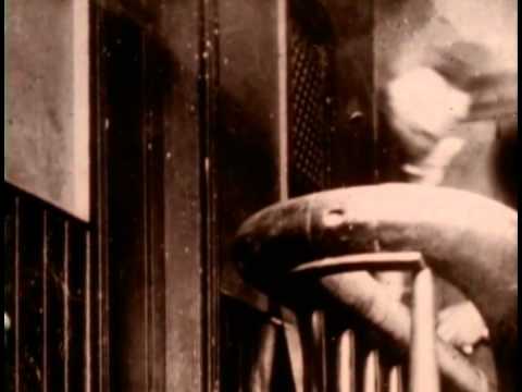 How the Other Half Lives