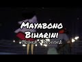 Mayabono Biharini (Slowed + Reverbed) | Somlata | VeBrio. | Rabindra Sangeet