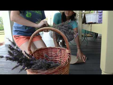 download lagu mp3 mp4 Georgia Gardening Magazine, download lagu Georgia Gardening Magazine gratis, unduh video klip Georgia Gardening Magazine