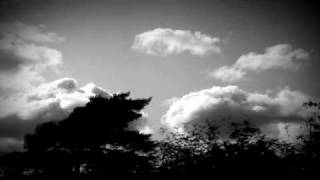 Heroin and Your Veins - Talking to Birds