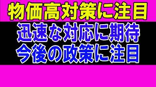 【最新】玉木雄一郎氏の減税公約を巡る議論、その背景とは？
