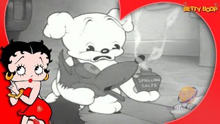 Betty Boop (1937) | Season 6 | Episode 5 | Pudgy Picks a Fight! | Margie Hines | Ann Rothschild