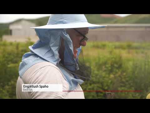 PA BLETË NUK KA JETË