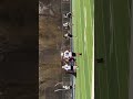 Trevor D Lacrosse Score 2