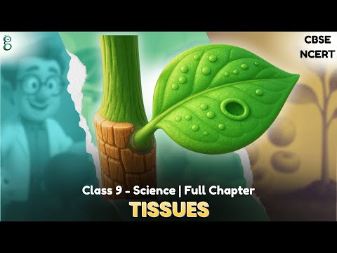Tissues – Class 9 Science video