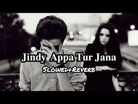 Latest Punjabi Song||Jindy Appa Tur Jana Pal Rah Gaye Ny Thory|| Rahat Fateh Ali Khan||Slowed+Reverb