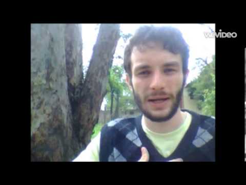 O Caminho do Mago - 2: O poder do ego e o da Unidade.