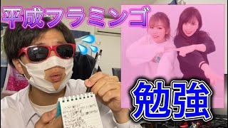 平成フラミンゴを勉強してみた！