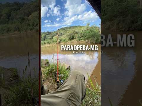 LADRÃOZINHO de isca 🐟🎣| rio PARAOPEBA Pontilhão |Juatuba-mg #pescaesportiva #natureza #pescaria